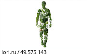 Human shape made of green vegetables and herbs for nutrition. Стоковое AI-изображение, AI-художник Katsiaryna Repich / Фотобанк Лори