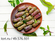 Dolma,tolma and sarma,stuffed sorrel leaves with rice and meat.Arabic cuisine. Traditional Turkish dolma. Стоковое фото, агентство Ingram Publishing / Фотобанк Лори