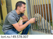 a dogs home and carer. Стоковое фото, агентство Ingram Publishing / Фотобанк Лори