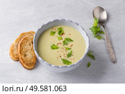 Cream soup of stalked celery with cream, garnished with celery leaves, pink pepper and served with crispy toast on a light gray background, top view. Стоковое фото, фотограф Ольга Лепёшкина / Фотобанк Лори