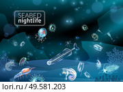 Seabed nightlife underwater scene with reef seaweed coral and plankton characters cartoon vector illustration. Seabed Cartoon Background. Стоковая иллюстрация, агентство Ingram Publishing / Фотобанк Лори