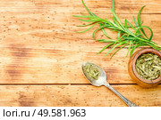 Tarragon or estragon.Artemisia dracunculus.Fresh and dry tarragon herb.Copy space. Estragon fresh and dried. Стоковое фото, агентство Ingram Publishing / Фотобанк Лори