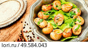 Snail or escargots with garlic butter and lime.Baked snails. Bourgogne escargot snails. Стоковое фото, агентство Ingram Publishing / Фотобанк Лори