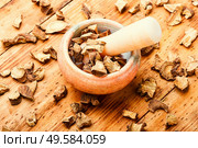 Medicinal root of elecampane in herbal medicine.Inula helenium.Medical plant.Alternative medicine. Inula medicinal root. Стоковое фото, агентство Ingram Publishing / Фотобанк Лори