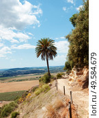 topo view from  castle of Almodovar del Rio, Cordoba, Andalusia.  Spain. Стоковое фото, агентство Ingram Publishing / Фотобанк Лори