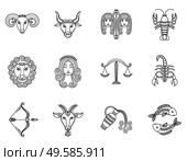 Twelve astrological signs that associated with constellation. Aquarius and gemini, virgo and scorpio, cancer and taurus, aries and libra, leo and pisces, capricort and sagittarius. Vector illustration. Twelve Astrological Signs, Symbols of Zodiacs. Стоковая иллюстрация, агентство Ingram Publishing / Фотобанк Лори
