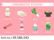 Probiotic foods for healthy digestion and immunity. Kimchi and kombucha, tempeh and bow, miso soup and kefir, pickled cucumber and yogurt. Organic vegetables and dairy products vector in flat. Probiotic Foods, Collection of Meals and Dishes. Стоковая иллюстрация, агентство Ingram Publishing / Фотобанк Лори