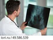 a radiologist examines a x ray. Стоковое фото, агентство Ingram Publishing / Фотобанк Лори