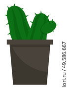 Evergreen plant with prickly thorns in black pot. Succulent that grown indoor in potting soil. Isolated object for house and office decoration. Vector illustration of potted houseplant in flat style. Cactus, Green Plant in Pot with Thorns, Houseplant. Стоковая иллюстрация, агентство Ingram Publishing / Фотобанк Лори