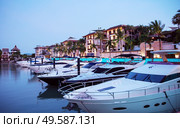 Picture of expensive motor boats in the tropical docks. Стоковое фото, агентство Ingram Publishing / Фотобанк Лори