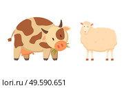Cow and sheep isolated cartoon style animals. Vector spotted young bovine calf and white lamb or mutton, ruminant domesticated cartoon style pets. Cow and Sheep Isolated Cartoon Style Animal Vector. Стоковая иллюстрация, агентство Ingram Publishing / Фотобанк Лори