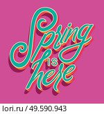 Colorful decorative handwritten typography design with spring is here text. Spring hand lettering illustration design. Colorful flat vector illustration. . Стоковая иллюстрация, агентство Ingram Publishing / Фотобанк Лори