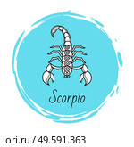 Scorpio zodiac sign decorative design for horoscope. Astrology symbol, isolated icon with scorpion in circle. November and october as ruling months of astrological element. Vector in flat style. Scorpio Zodiac Sign Astrology and Horoscope Vector. Стоковая иллюстрация, агентство Ingram Publishing / Фотобанк Лори