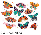 Collection of colorful hand drawn butterflies and moths on white background. Stylized flying insects with decorative elements, vector illustration. . Стоковая иллюстрация, агентство Ingram Publishing / Фотобанк Лори