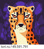 Colorful portrait of beautiful cheetah on purple background. Hand drawn wild animal. Big cat. . Стоковая иллюстрация, агентство Ingram Publishing / Фотобанк Лори