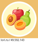 Natural fresh fruits in circle. Red apple, green pear, cutted apricot. Sweet dessert. Organic products for fruit salad. Healthy eating, keeping diet. Summer fruits. Colorful web icon in cartoon style. Natural fresh fruits in circle, red apple, green pear, cutted apricot, sweet dessert, isolated. Стоковая иллюстрация, агентство Ingram Publishing / Фотобанк Лори