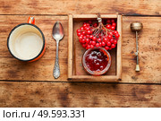 Glass jar with jam and fresh viburnum berries. Viburnum berry jam. Стоковое фото, агентство Ingram Publishing / Фотобанк Лори