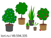 Set of pot plants with flowers and leaves. Group of trees and bushes in containers isolated on white. Home bush plant in pot and garden plants. Set of indoor home plant and tree with blue, red flowers. Set of pot plants with flowers and leaves. Group of trees and bushes in containers isolated on white. Стоковая иллюстрация, агентство Ingram Publishing / Фотобанк Лори