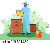 The beekeeper in hat with protective fine mesh and in overalls holds a frame with honeycombs. Honey bees. Beekeeping. Houses for bees, beehives. Get honey. Sweet, wax, mummy. Useful food products. Beekeeper on the apiary. Beekeeping, honey. Bee Sting Protection uniform. Beehives with honeycombs. Стоковая иллюстрация, агентство Ingram Publishing / Фотобанк Лори