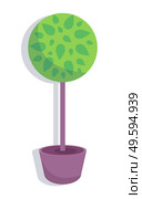 Decorative topiary tree in pot isolated at white background. Houseplant in flowerpot. Indoor or outdoor decorative tree with round crown. Domestic greenery. Vector icon for logo, website or apps. Decorative topiary tree in pot isolated at white background, houseplant in flowerpot, outdoor decor. Стоковая иллюстрация, агентство Ingram Publishing / Фотобанк Лори