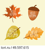 Abstract Hello Autumn Background with Falling Leaves, Rowan and Acorn. Vector Illustration EPS10. Abstract Hello Autumn Background with Falling Leaves, Rowan and Acorn. Vector Illustration. Стоковая иллюстрация, агентство Ingram Publishing / Фотобанк Лори