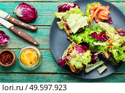 Paupiette from salad,salmon and dried apricots.Lollo rossa salad with salmon. Paupiette from salad and fish. Стоковое фото, агентство Ingram Publishing / Фотобанк Лори