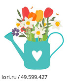 Garden watering can with spring flowers tulips and daffodils. Vector Illustration. Garden watering can with spring flowers tulips and daffodils. Vector Illustration EPS10. Стоковая иллюстрация, агентство Ingram Publishing / Фотобанк Лори