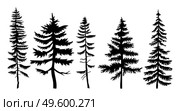 Set of vector black silhouettes firs and pines. Flat illustrations of forest trees. Winter wood. Taiga high powerful spruce. Forever green tree. Plants and trees. Flat vector isolated on white. A set of pines and spruces on a white background. Forest trees are forever green. Flat style. Стоковая иллюстрация, агентство Ingram Publishing / Фотобанк Лори