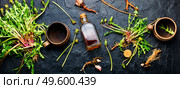Healing herbs and herbal medicinal roots.Extract of dandelion.Taraxacum,medicinal plants.Dandelion root.. Dandelion root in herbal medicine. Стоковое фото, агентство Ingram Publishing / Фотобанк Лори
