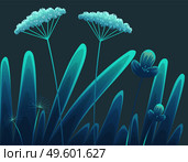 Summer time at night, navy blue background. Plants of fields and forests close-up. Vector vintage botanical illustration. Meadow grass, dandelion, chamomile, tansy. Medicinal plants. Flat vector. Meadow plants, forest grass at night, vegetation, flowers and stems close-up on blue background. Flat image. Стоковая иллюстрация, агентство Ingram Publishing / Фотобанк Лори