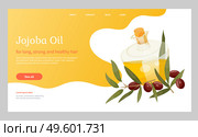 Glassware golden liquid, jojoba oil. Branch with green leaves and brown drupes near glass bottle, vessel. Information about aromatic product used in dermatology and cosmetology. Vector illustration. Information About Jojoba Oil in Vessel, Liquid. Стоковая иллюстрация, агентство Ingram Publishing / Фотобанк Лори