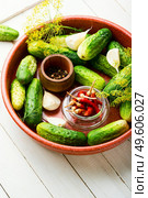 Plate of salted homemade cucumbers.Cooking process,canned cucumbers. Homemade cucumber pickling and ingredients. Стоковое фото, агентство Ingram Publishing / Фотобанк Лори
