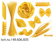 Pasta 3d realistic vector objects set. Penne, fusilli, farfalle, tagliatelle, fettuccine, spaghetti, cavatappi, conchiglie shells and wheat. Food illustration. Стоковая иллюстрация, агентство Ingram Publishing / Фотобанк Лори