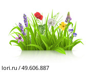 Wild flowers, forb alpine pastures. Spring grass 3d realistic vector. Стоковая иллюстрация, агентство Ingram Publishing / Фотобанк Лори