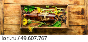 Healing tincture or mixture of elecampane roots. Elecampane in herbal medicine. Wild medicinal herbs. Elecampane root tincture. Стоковое фото, агентство Ingram Publishing / Фотобанк Лори