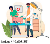 Veterinarian man meet woman with pig in the medical office. Doctor gives an injection to a sick pig, routine vaccination of farm animals. Visit to the vet clinic to check the health of the animal. Veterinary care flat illustration. Veterinarian man meet woman with pig in the medical office. Стоковая иллюстрация, агентство Ingram Publishing / Фотобанк Лори