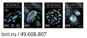 Set of four posters on theme of plankton varieties as template for magazine articles brochures book covers vector illustration. Plankton Poster Set. Стоковая иллюстрация, агентство Ingram Publishing / Фотобанк Лори