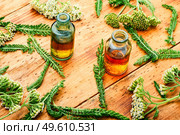 Jar of yarrow tincture.Medicine made from healing herbs.Alternative medicine concept. Yarrow in herbal medicine,achillea millefolium. Стоковое фото, агентство Ingram Publishing / Фотобанк Лори