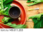 Datura medicinal tincture in a glass bottle. Herbal medicine. Datura medicinal tincture,datura leaves. Стоковое фото, агентство Ingram Publishing / Фотобанк Лори