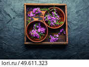 Ivan tea in a clay bowl. Blooming willow herb in herbal medicine.Russian tea. Healthful blooming sally. Стоковое фото, агентство Ingram Publishing / Фотобанк Лори