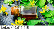 Healing tincture of celandine in a bottle.Herbal medicine.Medicinal plant celandine.. Medicinal herb celandine. Стоковое фото, агентство Ingram Publishing / Фотобанк Лори