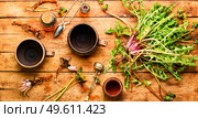 Bottle with tincture of dandelion.Taraxacum,medicinal plants.Dandelion root.. Dandelion or taraxacum in natural herbal medicine,wooden table. Стоковое фото, агентство Ingram Publishing / Фотобанк Лори