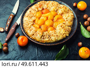 Biscuit or pie with cherry plum and nuts. Autumn homemade baked goods. Plum cake. Summer fruit cake.. Autumn pie or biscuit with plum. Стоковое фото, агентство Ingram Publishing / Фотобанк Лори