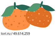 Orange tangerines with green leaves vector illustration. Sweet and sour citrus isolated on a white background. Tree fruit with dark speck. Mandarines plucked with a twig and leaves, grown in Greece. Orange tangerine with green leaves vector illustration. Citrus isolated on a white background. Стоковая иллюстрация, агентство Ingram Publishing / Фотобанк Лори