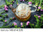 Teapot with medicinal wild herbal tea.Milk thistle or Silybum marianum in in herbal medicine. Thistle in herbal medicine. Стоковое фото, агентство Ingram Publishing / Фотобанк Лори