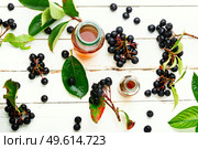 Bunches of fresh chokeberry. Healthy drink. Herbal medicine and homeopathy. Healthful chokeberry in herbal medicine. Стоковое фото, агентство Ingram Publishing / Фотобанк Лори
