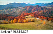Beautiful mountain autumn panorama landscape with meadow and colorful forest. Red, Yellow, Orange trees on hillsides. National Natural Park Synevyr, Carpathians, Ukraine, Europe. Стоковое фото, агентство Ingram Publishing / Фотобанк Лори