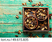 Dried forest mushrooms in a plate.Autumn mushrooms.Space for text. Sliced dried mushrooms. Стоковое фото, агентство Ingram Publishing / Фотобанк Лори