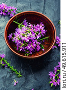 Ivan tea in a bowl.Blooming willow herb in herbal medicine.Medicative blooming sally. Willow-herb or blooming sally. Стоковое фото, агентство Ingram Publishing / Фотобанк Лори