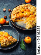 Biscuit or pie with cherry plum and nuts. Autumn homemade pie. Plum cake. Summer fruit cake.. Autumn pie or biscuit with plum. Стоковое фото, агентство Ingram Publishing / Фотобанк Лори